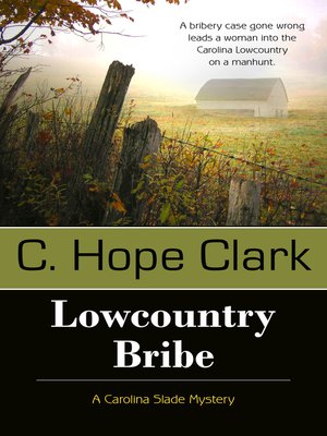 Lowcountry Bribe - ebook